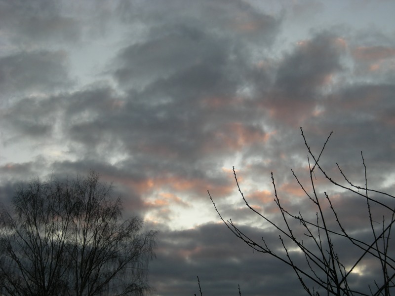 Поздняя осень (времена года)